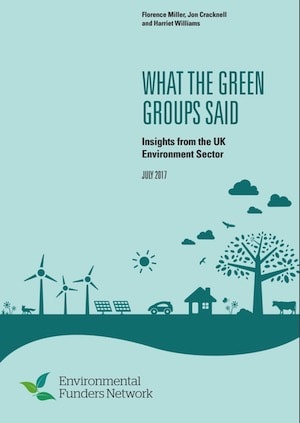 What The Green Groups Said