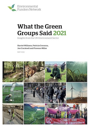 What The Green Groups Said (2021) cover